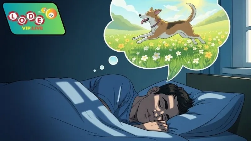 Ý nghĩa khi mơ thấy chó